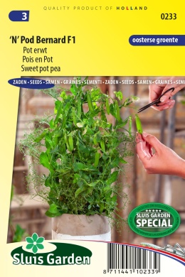 hrášok do kvetináca, hrášok do vyvýšeného záhonu, zelenina do vyvýšeného záhonu, vyvýšený záhon, sladký hrášok, manžetový hrášok,